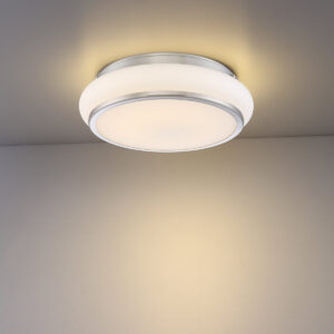 MUIR Flush Mount