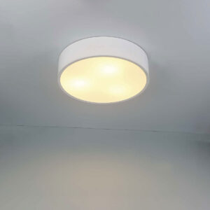NAPOLEON Flush Mount