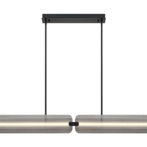 Eurofase Neoness, Chandelier, 4-Light, 67", Matte Black, Smoked Glass – Eurofase Chandeliers
