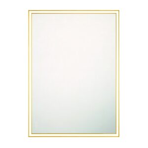 Eurofase Nixon, Mirror , 30" X 42", Anodized Gold – Eurofase Mirrors